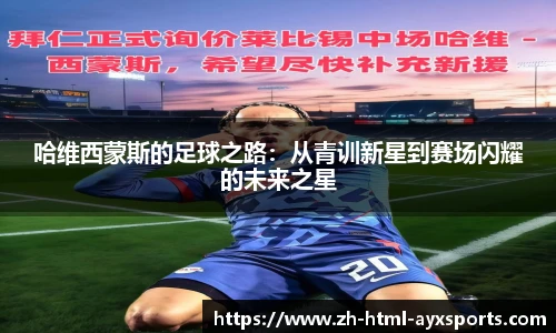 爱游戏登录入口